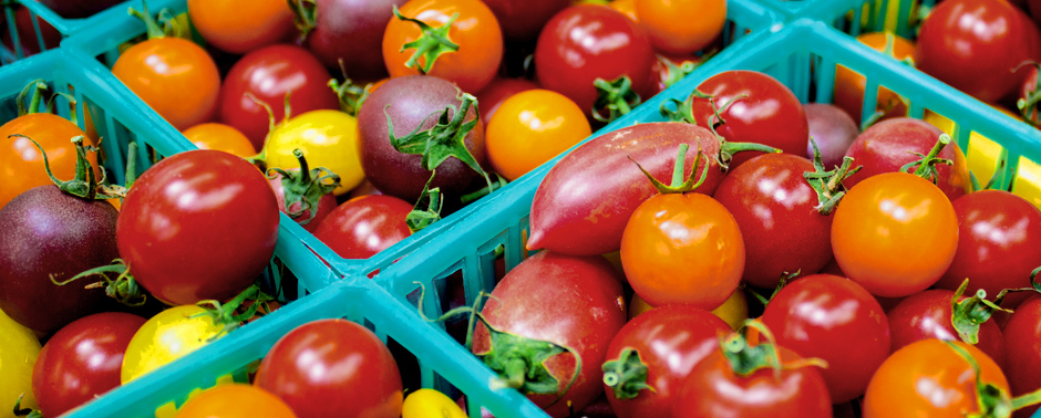 GMO-Free
