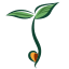 northcoast logo