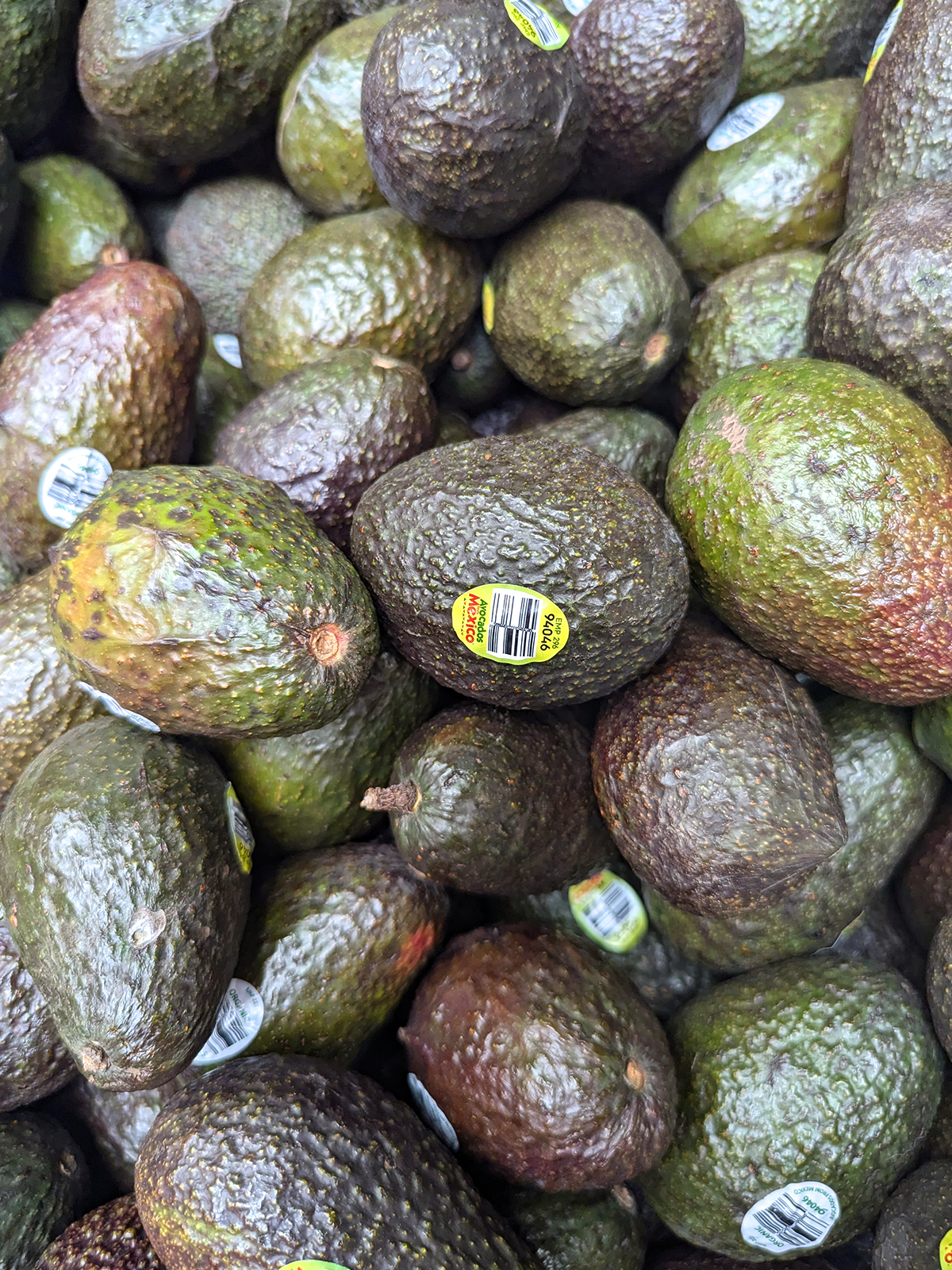 hass avocado 03 1200x1600