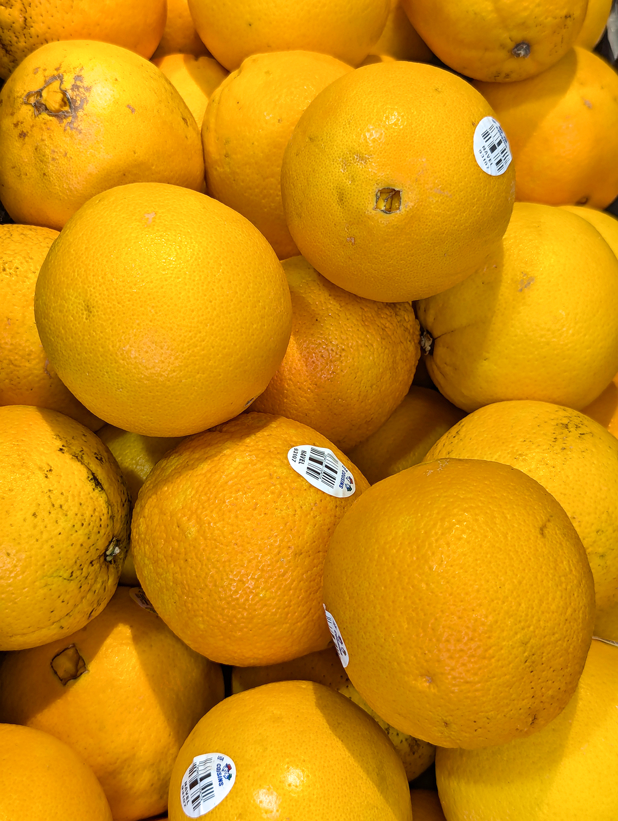 navel oranges 01 1200x1600