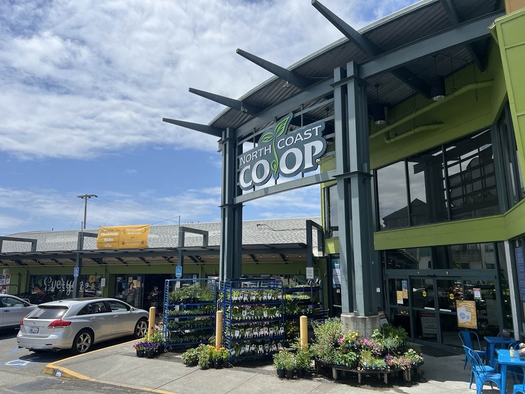 arcata store front 2025