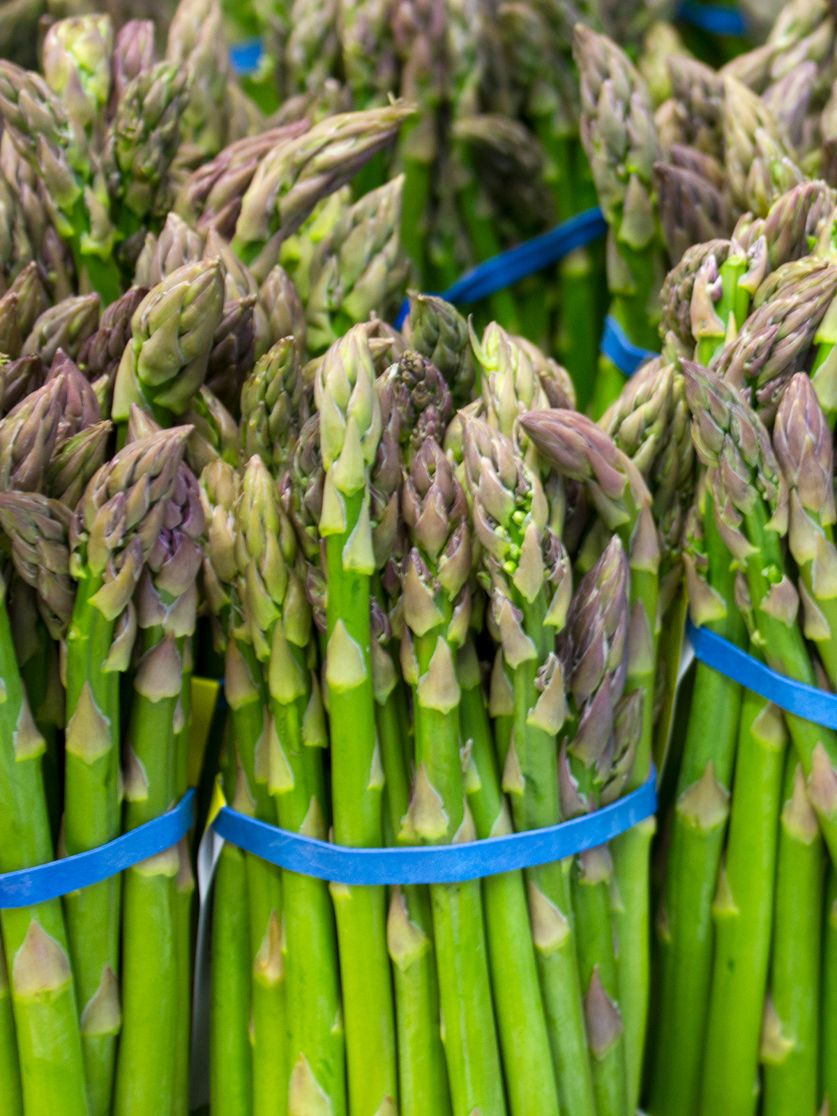 asparagus 1200x160011