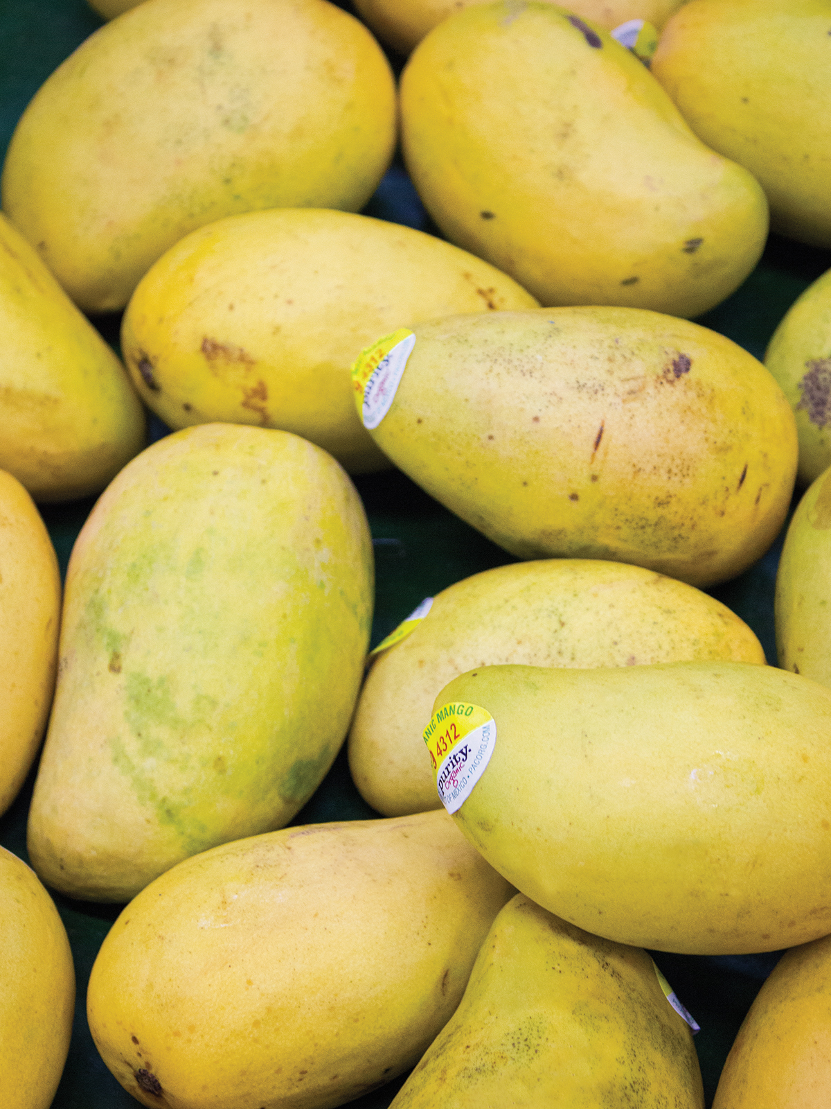 ataulfo mango 1200x1600