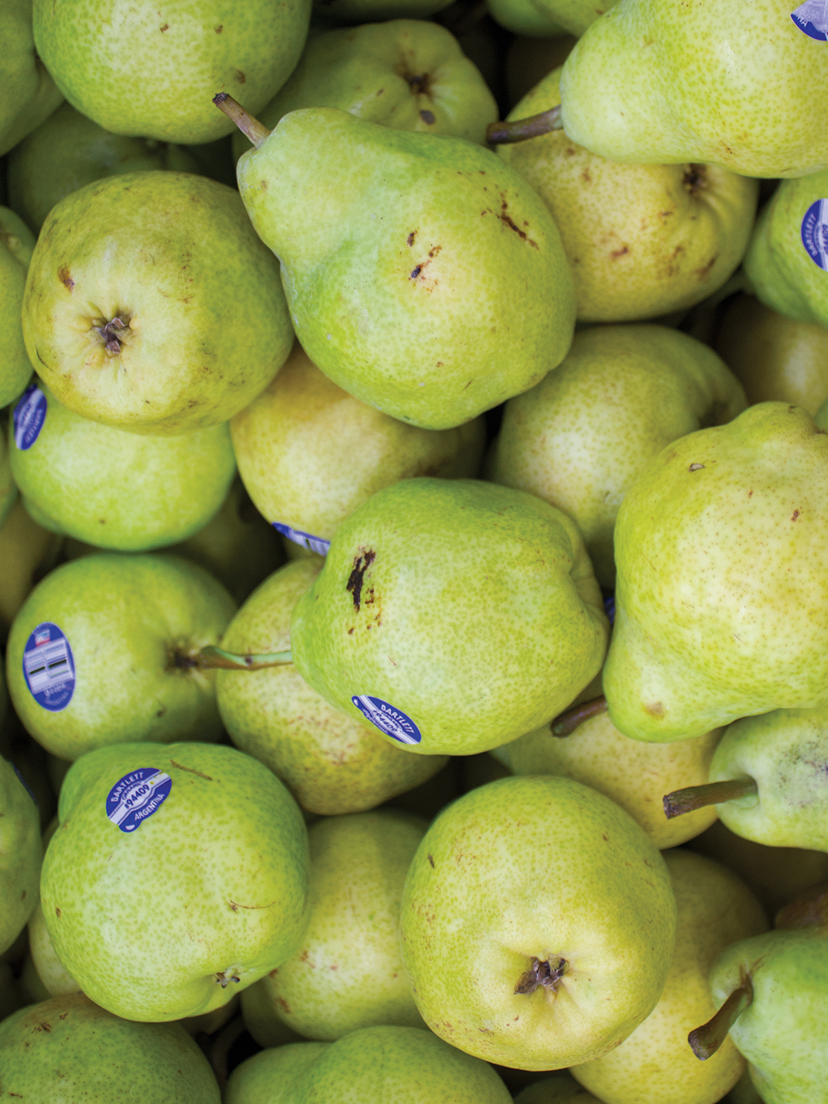 bartlett pears 1200x160011