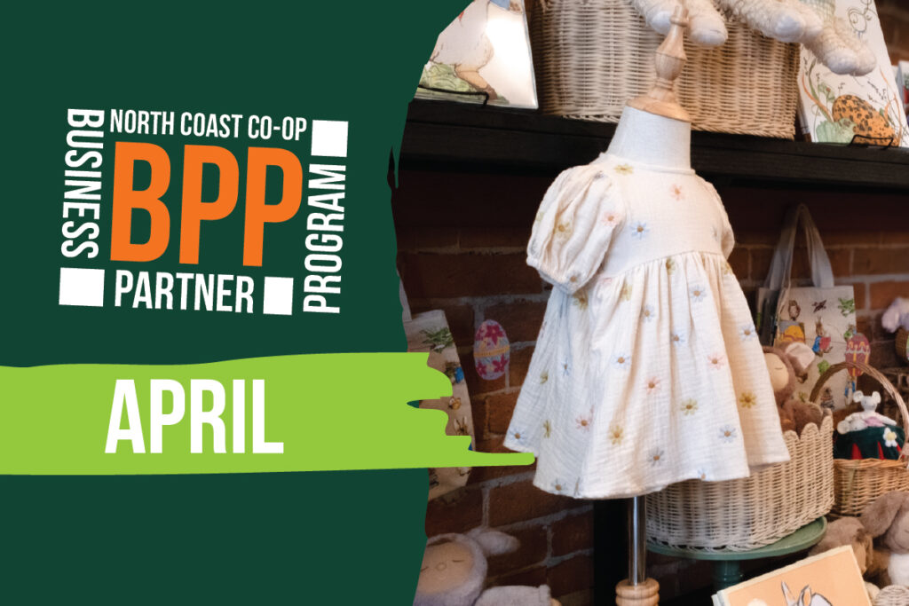 2026 04 bpp piccola website news post