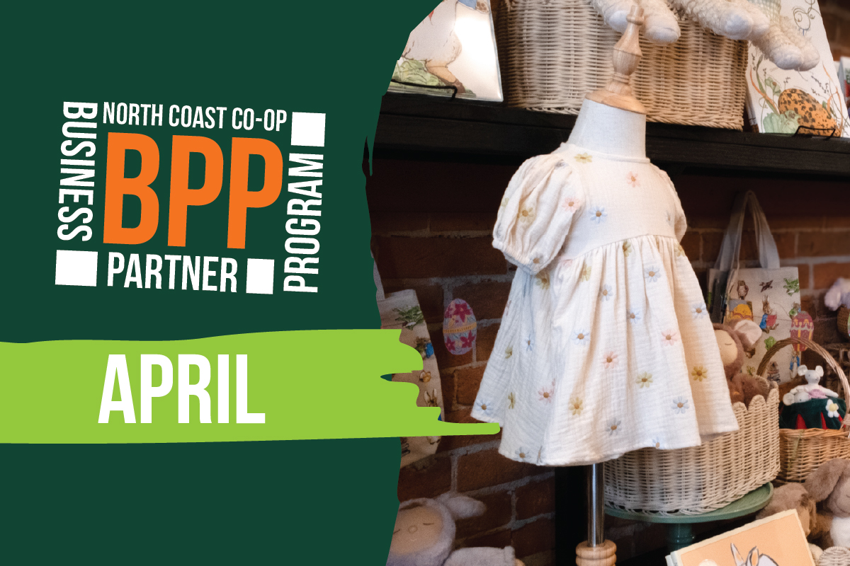 2026 04 bpp piccola website news post