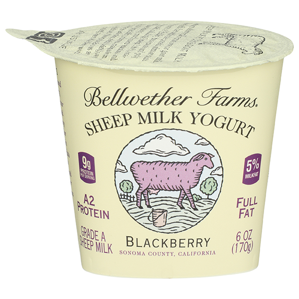bellwether farms blackberry whole yogurt 600x600