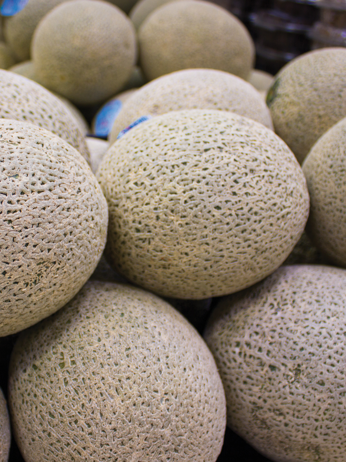cantaloupe melon 1200x160011