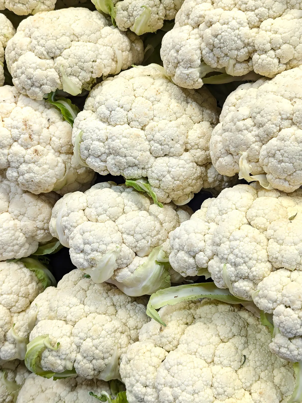 cauliflower 01 1200x1600