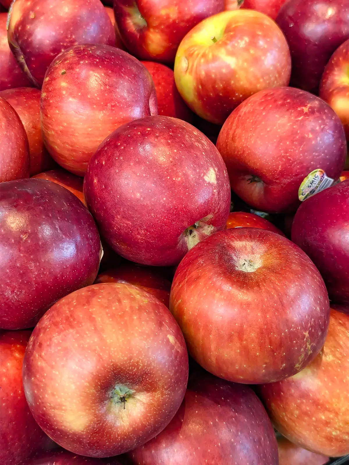 cosmic crisp apples 00 1200x1600