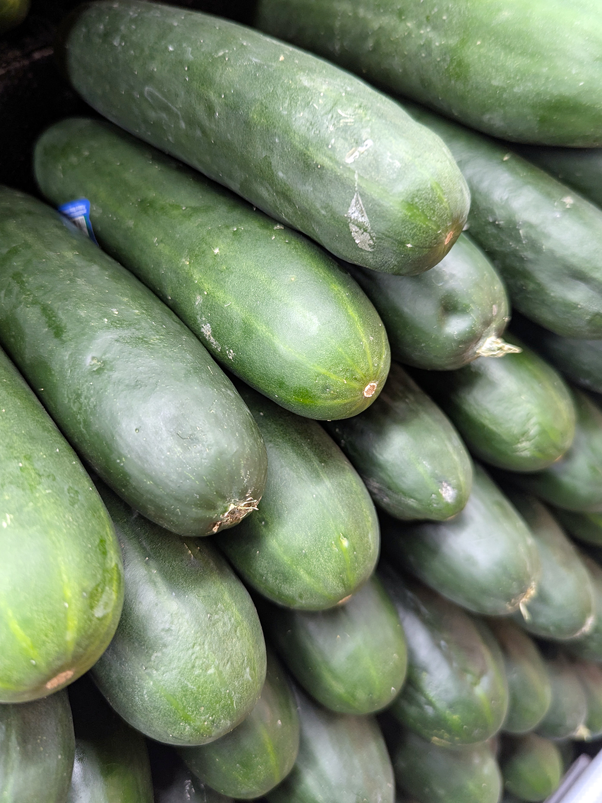 cucumbers produce web ads 1200x1600