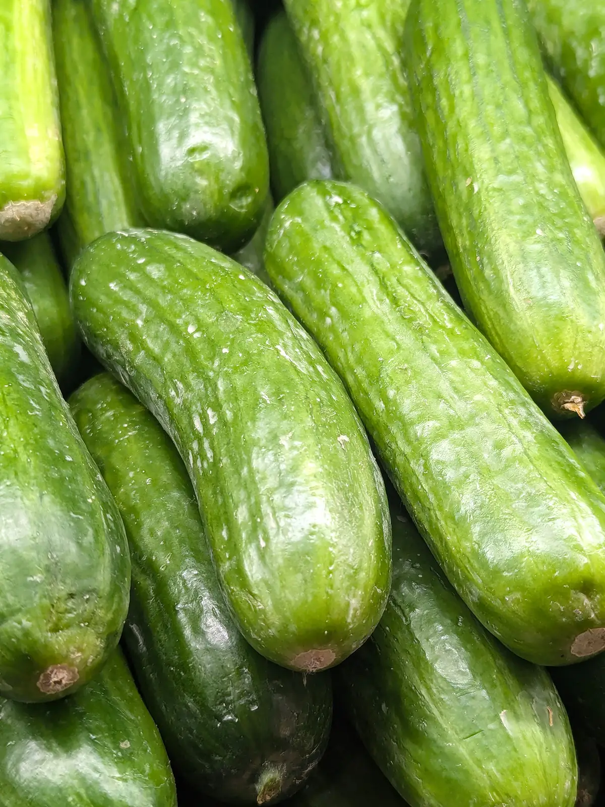 mini persian cucumbers web ads 1200x1600