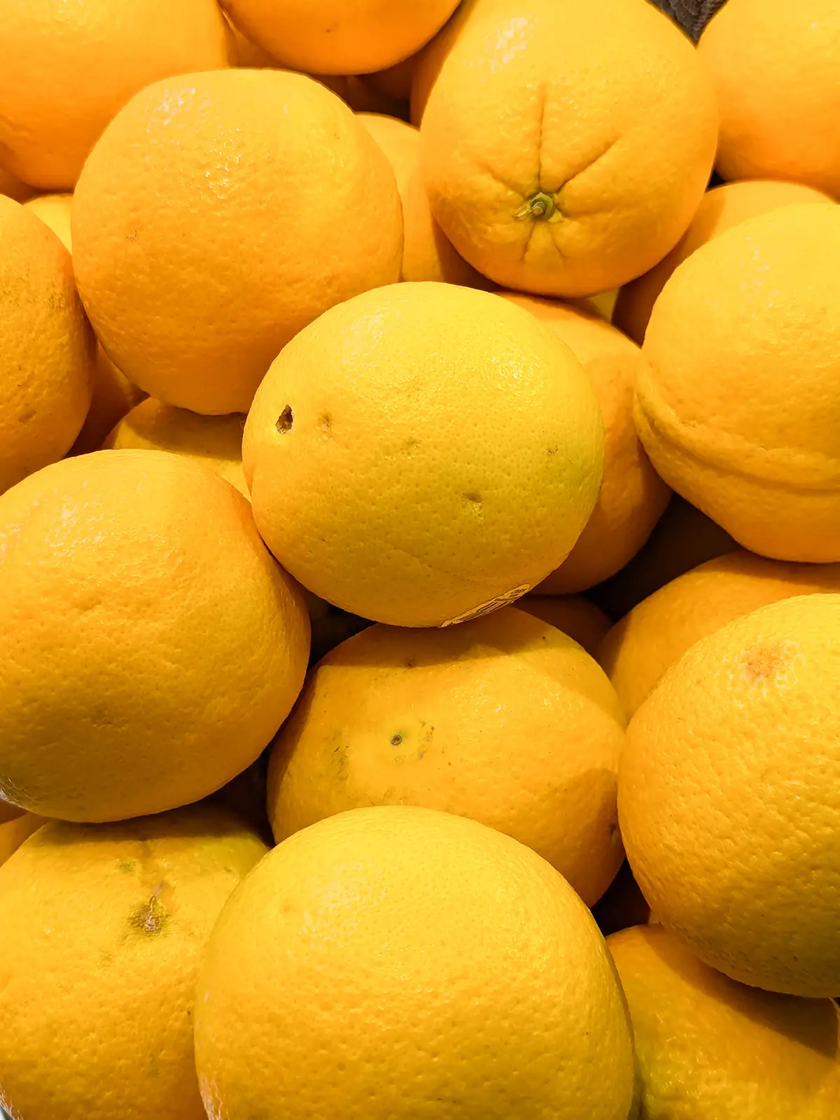 navel oranges 01 1200x1600 (3)