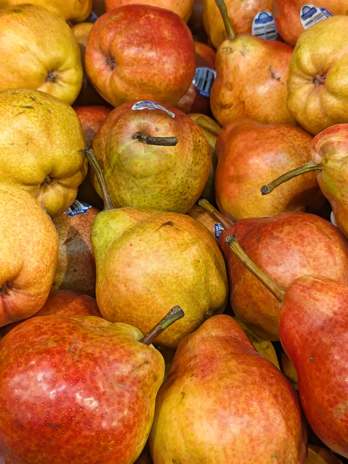 red bartlett pear web ads 1200x1600