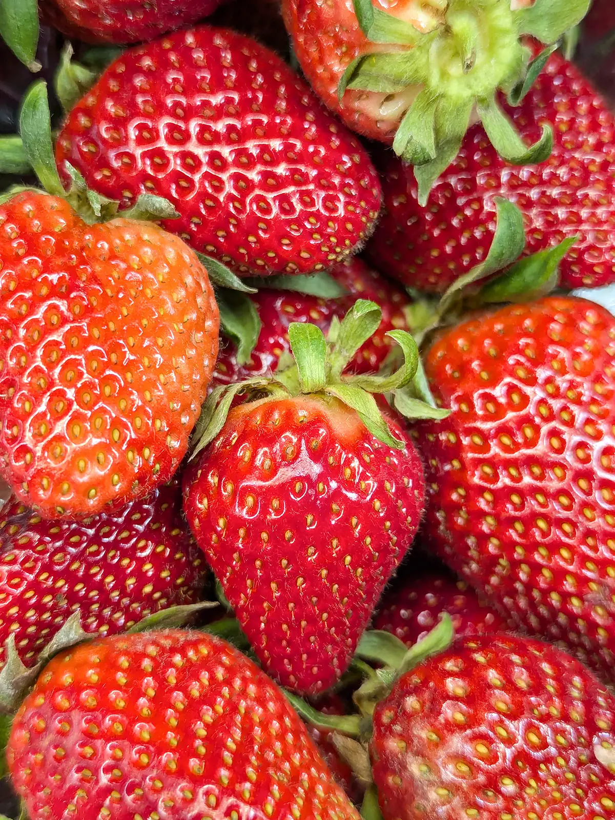 strawberries 01 1200x1600
